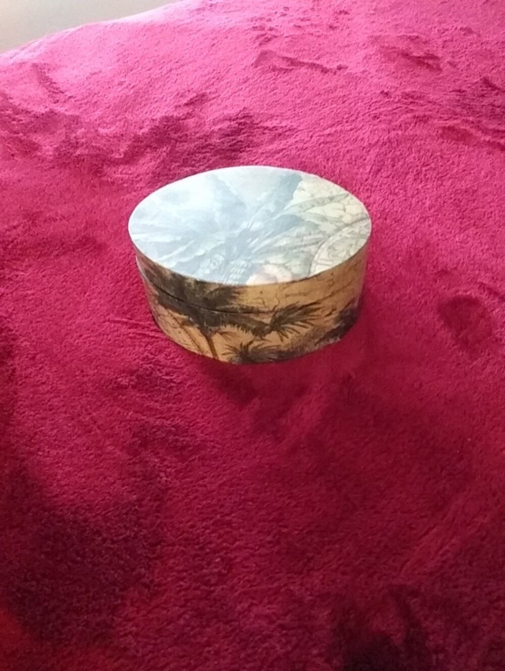 Vintage Vtg Rare Htf Map Beautiful And Unusual Palm Trees Wood Round Box